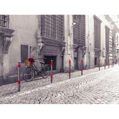 Bunch of roses on bicycle on old city street of Rome Black Modern Wood Framed Art Print with Double Matting by Frank, Assaf
