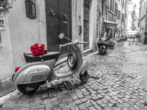 Old scooter with bunch of roses on narrow street of Rome White Modern Wood Framed Art Print with Double Matting by Frank, Assaf