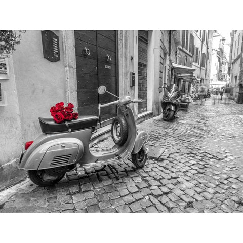 Old scooter with bunch of roses on narrow street of Rome Black Modern Wood Framed Art Print with Double Matting by Frank, Assaf