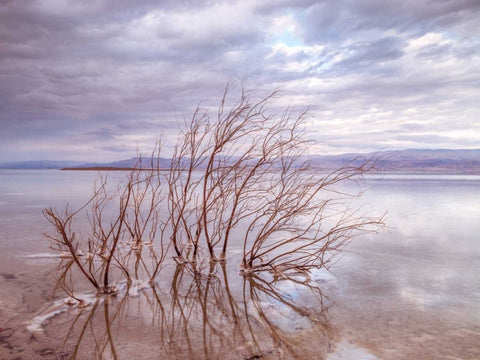 Dead Sea, Israel White Modern Wood Framed Art Print with Double Matting by Frank, Assaf
