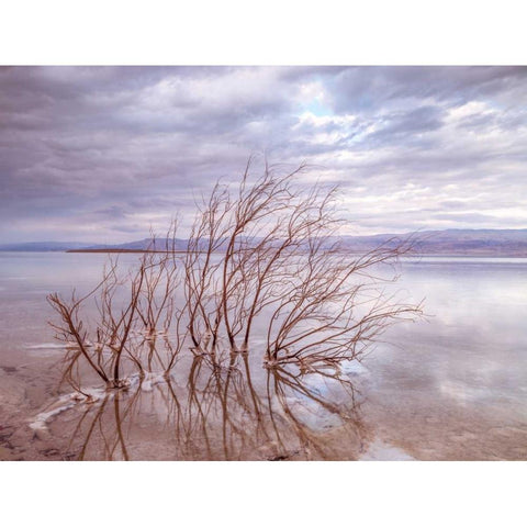 Dead Sea, Israel Black Modern Wood Framed Art Print by Frank, Assaf