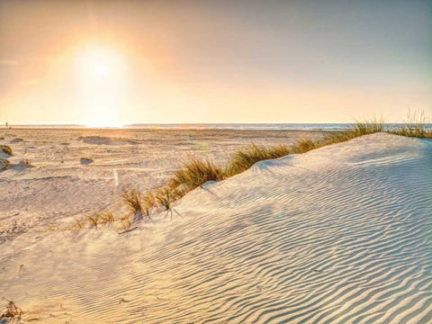 Dead sea, Israel Black Ornate Wood Framed Art Print with Double Matting by Frank, Assaf