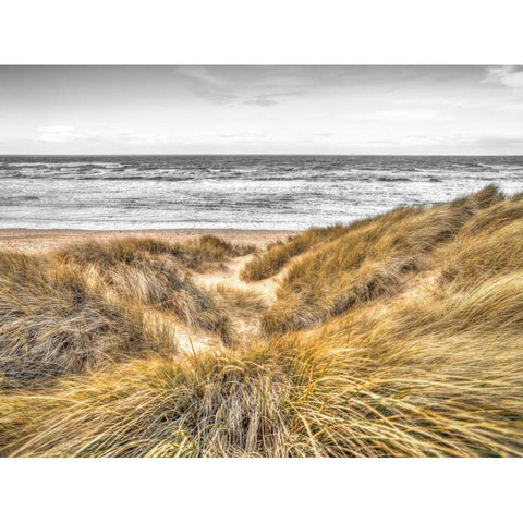 Tranquil beach with grass, Blackpool, UK Gold Ornate Wood Framed Art Print with Double Matting by Frank, Assaf