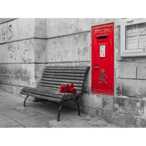 Bunch of roses on a bench, Birgu, Malta Black Modern Wood Framed Art Print with Double Matting by Frank, Assaf