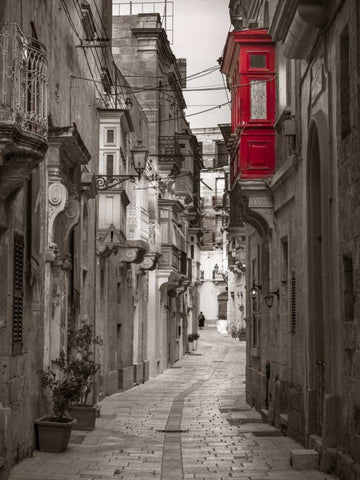 Narrow street through traditional maltese houses in Birgu, Malta Black Ornate Wood Framed Art Print with Double Matting by Frank, Assaf