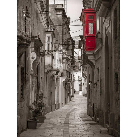 Narrow street through traditional maltese houses in Birgu, Malta Black Modern Wood Framed Art Print with Double Matting by Frank, Assaf