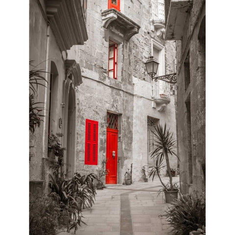 Narrow street through traditional maltese houses in Birgu, Malta Black Modern Wood Framed Art Print with Double Matting by Frank, Assaf