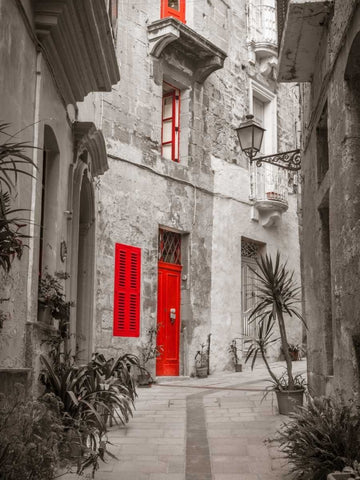 Narrow street through traditional maltese houses in Birgu, Malta Black Ornate Wood Framed Art Print with Double Matting by Frank, Assaf