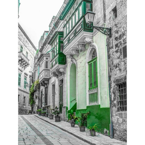 Traditional maltese houses in Birgu, Malta Black Modern Wood Framed Art Print with Double Matting by Frank, Assaf