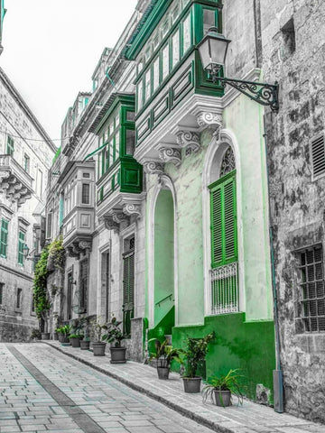 Traditional maltese houses in Birgu, Malta White Modern Wood Framed Art Print with Double Matting by Frank, Assaf