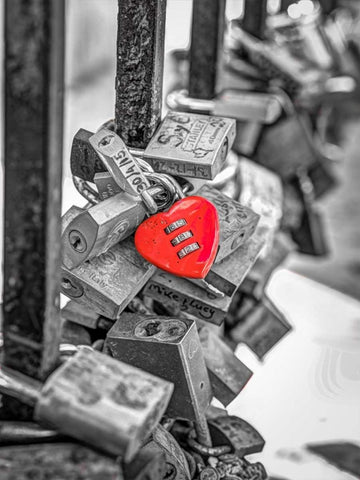 Love padlocks on bridge railing, St Julians, Malta Black Ornate Wood Framed Art Print with Double Matting by Frank, Assaf