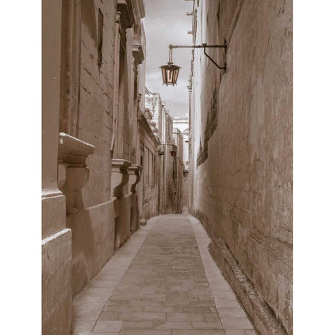 Narrow street in town of Mdina, Malta Black Modern Wood Framed Art Print with Double Matting by Frank, Assaf