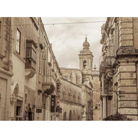 Old buildings in Mdina, Malta Black Modern Wood Framed Art Print with Double Matting by Frank, Assaf