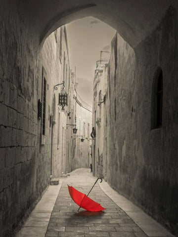 Red umbrella on narrow street of Mdina, Malta Black Ornate Wood Framed Art Print with Double Matting by Frank, Assaf
