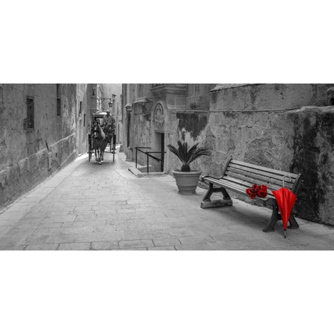 Umbrella with bunch of roses on bench, Mdina, Malta Black Modern Wood Framed Art Print with Double Matting by Frank, Assaf