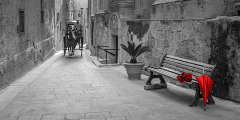 Umbrella with bunch of roses on bench, Mdina, Malta Black Ornate Wood Framed Art Print with Double Matting by Frank, Assaf