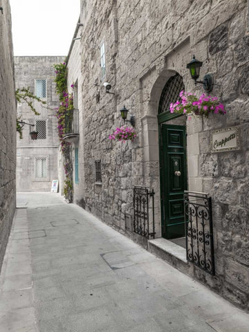 Traditional houses on narrow lanes of Mdina, Malta White Modern Wood Framed Art Print with Double Matting by Frank, Assaf