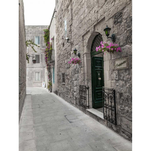 Traditional houses on narrow lanes of Mdina, Malta Black Modern Wood Framed Art Print with Double Matting by Frank, Assaf