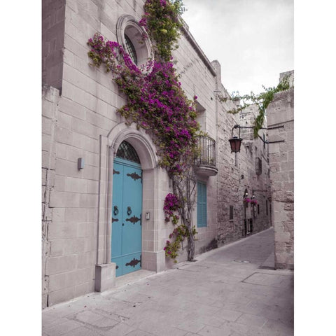 Traditional houses on narrow lanes of Mdina, Malta Black Modern Wood Framed Art Print with Double Matting by Frank, Assaf