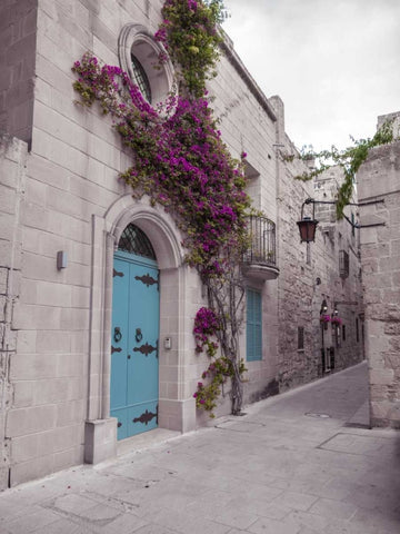 Traditional houses on narrow lanes of Mdina, Malta White Modern Wood Framed Art Print with Double Matting by Frank, Assaf
