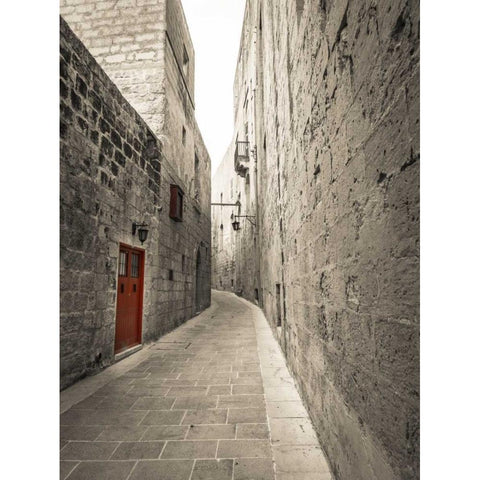 Traditional houses on narrow lanes of Mdina, Malta Black Modern Wood Framed Art Print with Double Matting by Frank, Assaf