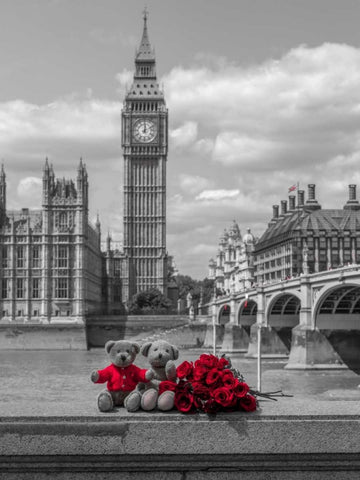 Teddy bear and bunch of Roses on Thames promenade agaisnt Westminster Abby, London, UK Black Ornate Wood Framed Art Print with Double Matting by Frank, Assaf