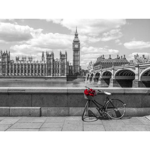 Bunch of Roses on a bicycle agaisnt Westminster Abby, London, UK Black Modern Wood Framed Art Print with Double Matting by Frank, Assaf