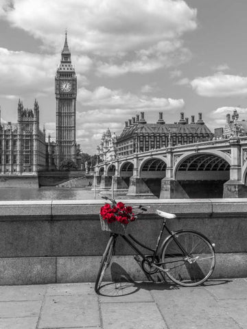 Bunch of Roses on a bicycle agaisnt Westminster Abby, London, UK Black Ornate Wood Framed Art Print with Double Matting by Frank, Assaf