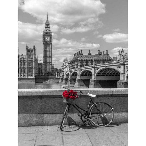 Bunch of Roses on a bicycle agaisnt Westminster Abby, London, UK White Modern Wood Framed Art Print by Frank, Assaf