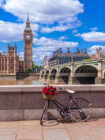 Bunch of Roses on a bicycle agaisnt Westminster Abby, London, UK White Modern Wood Framed Art Print with Double Matting by Frank, Assaf