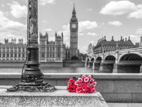 Bunch of Roses by a lampost, London, UK White Modern Wood Framed Art Print with Double Matting by Frank, Assaf