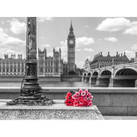 Bunch of Roses by a lampost, London, UK Black Modern Wood Framed Art Print by Frank, Assaf