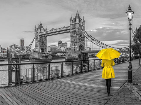 Lady in yellow, Tower bridge, London Black Ornate Wood Framed Art Print with Double Matting by Frank, Assaf