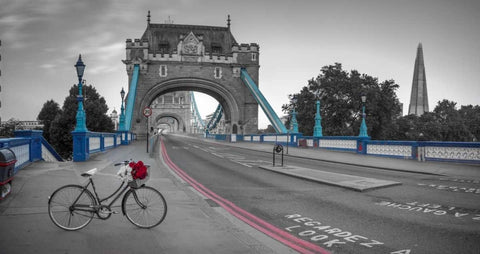 Bunch of roses on a bicycle near Tower Bridge, London, UK White Modern Wood Framed Art Print with Double Matting by Frank, Assaf
