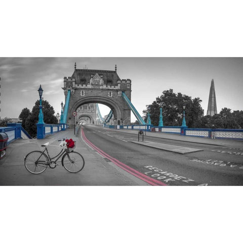 Bunch of roses on a bicycle near Tower Bridge, London, UK Black Modern Wood Framed Art Print with Double Matting by Frank, Assaf