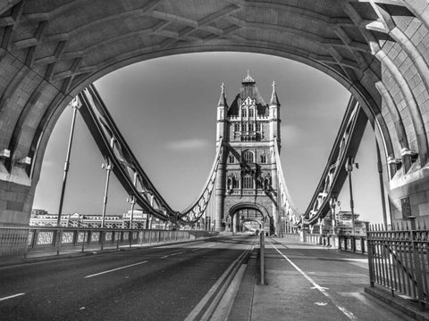 Tower bridge in London, UK Black Ornate Wood Framed Art Print with Double Matting by Frank, Assaf