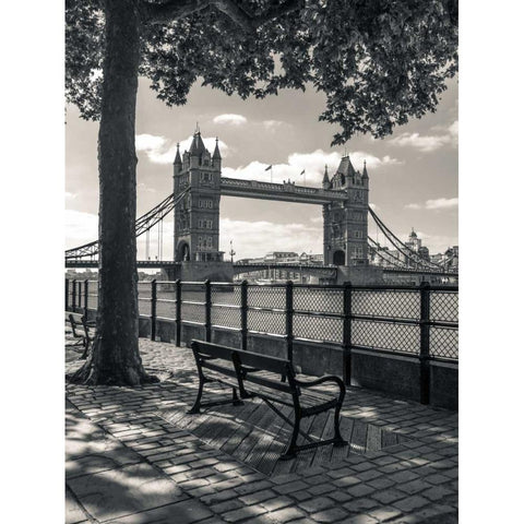 Thames promenade with Tower bridge in background, London, UK Black Modern Wood Framed Art Print with Double Matting by Frank, Assaf