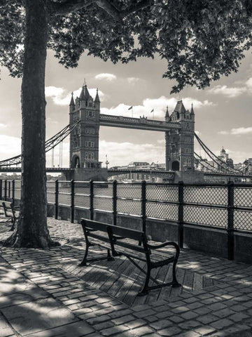 Thames promenade with Tower bridge in background, London, UK Black Ornate Wood Framed Art Print with Double Matting by Frank, Assaf