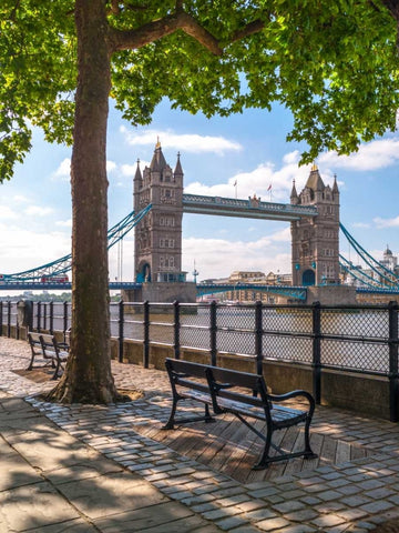 Thames promenade with Tower bridge in background, London, UK Black Ornate Wood Framed Art Print with Double Matting by Frank, Assaf
