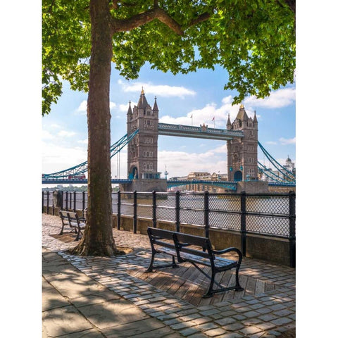 Thames promenade with Tower bridge in background, London, UK Black Modern Wood Framed Art Print with Double Matting by Frank, Assaf