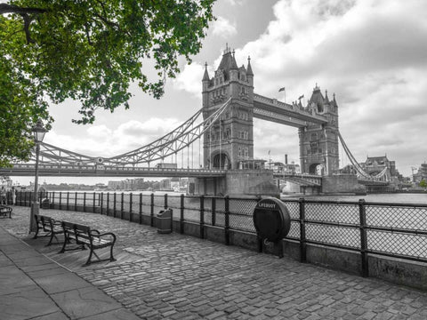 Thames promenade with Tower bridge in background, London, UK Black Ornate Wood Framed Art Print with Double Matting by Frank, Assaf
