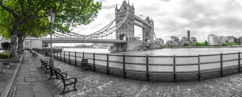 Thames promenade with Tower bridge in background, London, UK Black Ornate Wood Framed Art Print with Double Matting by Frank, Assaf