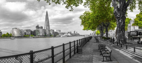 Thames promenade with The Shard in background, London, UK Black Ornate Wood Framed Art Print with Double Matting by Frank, Assaf
