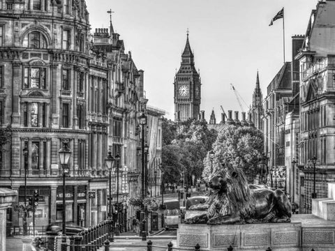 Trafalgar Square, London, UK Black Ornate Wood Framed Art Print with Double Matting by Frank, Assaf
