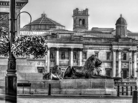 Trafalgar Square, London, UK Black Ornate Wood Framed Art Print with Double Matting by Frank, Assaf