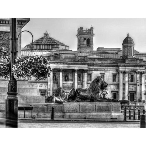Trafalgar Square, London, UK Black Modern Wood Framed Art Print with Double Matting by Frank, Assaf
