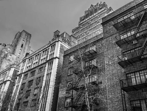 Residence buildings in Manhattan, New York City Black Ornate Wood Framed Art Print with Double Matting by Frank, Assaf