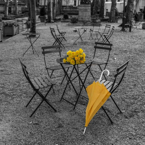 Bunch of roses and umbrella on table and chair at the park, New York Black Modern Wood Framed Art Print with Double Matting by Frank, Assaf