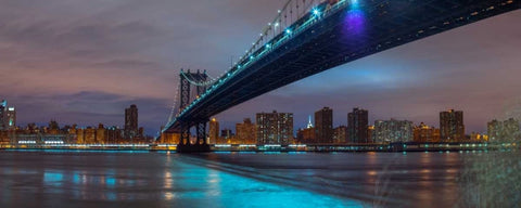Manhattan bridge and New York city skyline Black Ornate Wood Framed Art Print with Double Matting by Frank, Assaf
