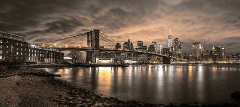 Brooklyn Bridge and Manhattan skyline, New York Black Ornate Wood Framed Art Print with Double Matting by Frank, Assaf